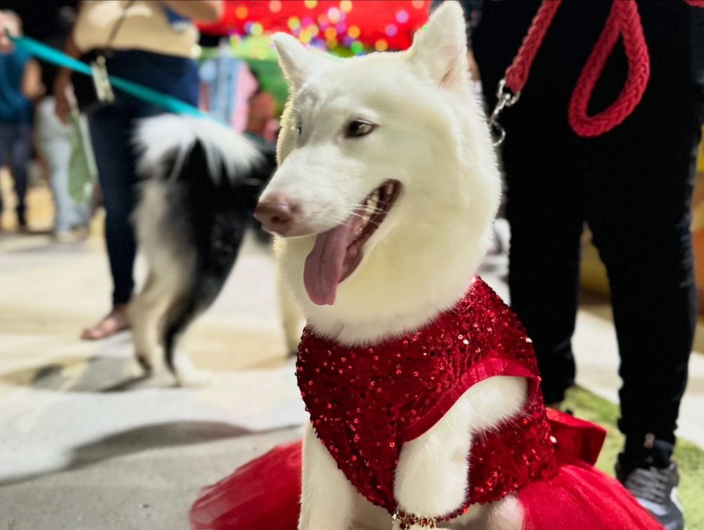 Instituto de Protección Animal promovió la tenencia responsable y el bienestar animal en la “Expo Mascotas del Lago" 3 IMG 20250928 WA0079