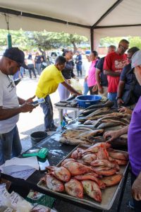 WhatsApp Image 2026 03 30 at 3.14.51 PM