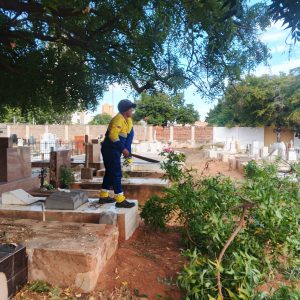 WhatsApp Image 2026 04 07 at 1.53.53 PM