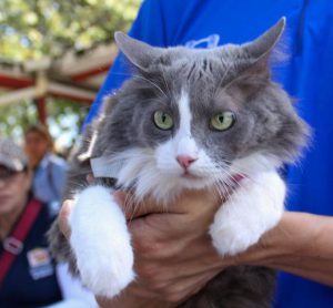 WhatsApp Image 2026 04 13 at 4.04.23 PM