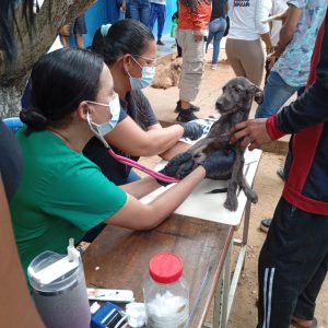 WhatsApp Image 2026 04 27 at 2.14.08 PM