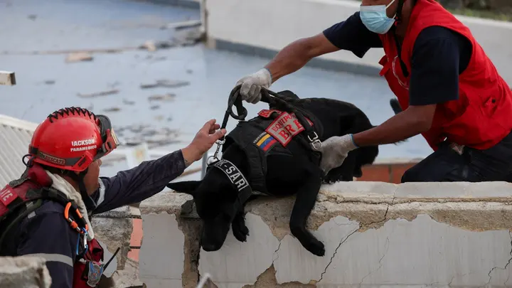 usar venezuela