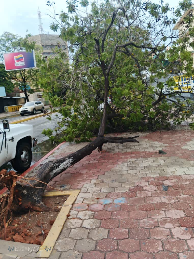 Alcaldía de Maracaibo mantiene despliegue de emergencia y monitoreo tras el paso de la Onda Tropical N° 40 6 WhatsApp Image 2026 08 23 at 8.39.50 PM