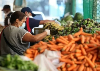 Canasta básica en Carabobo superó los 335 dólares