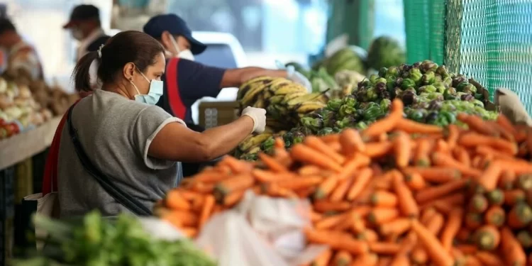 Canasta básica en Carabobo superó los 335 dólares