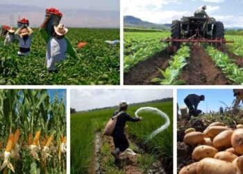 Diseno sin titulo 54