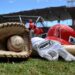 Temporada de Béisbol Profesional de Venezuela arranca este sábado 7 fe0739cf044a4c99a3e1cc3e31a3181d