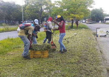 Tres Kilómetros de la av. Raúl Leoni están siendo desmalezados.