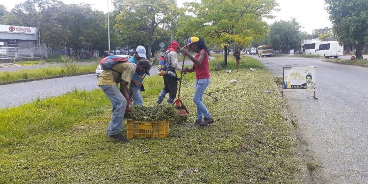 Alcaldía del municipio Maturín rehabilitó 3 kilómetros de la avenida Raúl Leoni 1 Tres Kilómetros de la av. Raúl Leoni están siendo desmalezados.