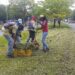 Alcaldía del municipio Maturín rehabilitó 3 kilómetros de la avenida Raúl Leoni 10 Tres Kilómetros de la av. Raúl Leoni están siendo desmalezados.