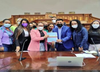 Minmujer entregó propuestas a AN para reforma de Ley