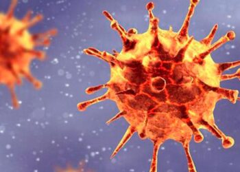 Que se sabe sobre la nueva cepa del covid 19 1 1