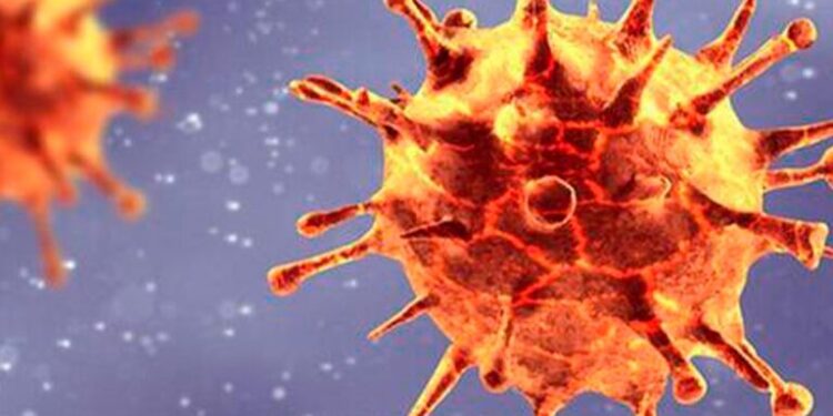 OMS califica de «preocupante» aparición de Ómicron, variante africana del covid 1 Que se sabe sobre la nueva cepa del covid 19 1 1