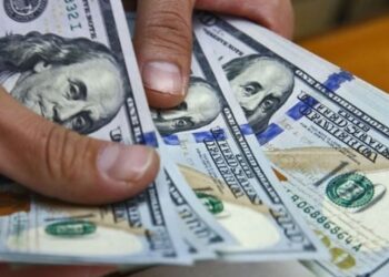 b11641d8dfd944fc8c2782a99b5ea846