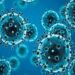 Continente Americano presentó descenso en casos y muertes por covid-19 9 coronavirus 21