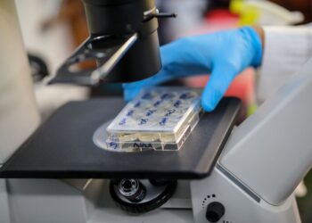 Científicos estudian variante Ómicron