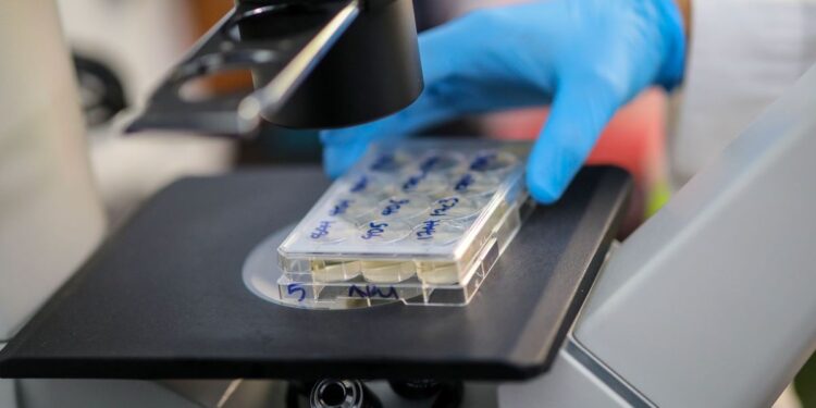 Activan Consejo Científico Nacional para evaluar variante Ómicrom 1 Científicos estudian variante Ómicron