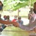 Inicia campaña electoral en Barinas 7 Inicia campaña electoral en Barinas