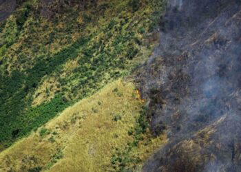 Incendios forestales amenazan el Parque Henri Pittier