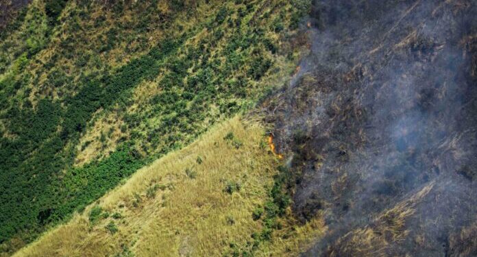 Aragua: incendios forestales afectan al Parque Henri Pittier 1 Incendios forestales amenazan el Parque Henri Pittier