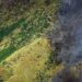 Aragua: incendios forestales afectan al Parque Henri Pittier 8 Incendios forestales amenazan el Parque Henri Pittier