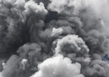 A pesar de las fuertes llamas no se registraron heridos ni fallecidos en el lugar