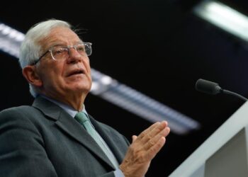 Borrell detalló que se hicieron unas elecciones mas organizadas y con un consejo electoral más neutral