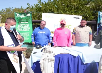 Se espera que la 1 parte de la construcción este lista en dos años