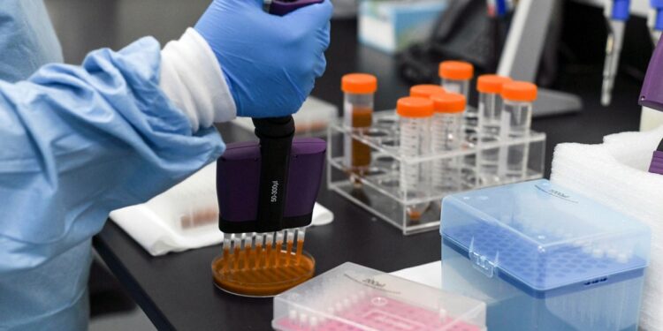 OMS: "Las vacunas ofrecen inmunidad de 6 meses" 1 oms1 1