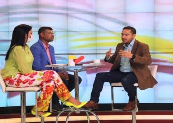 Diputado a la Asamblea Nacional (AN)