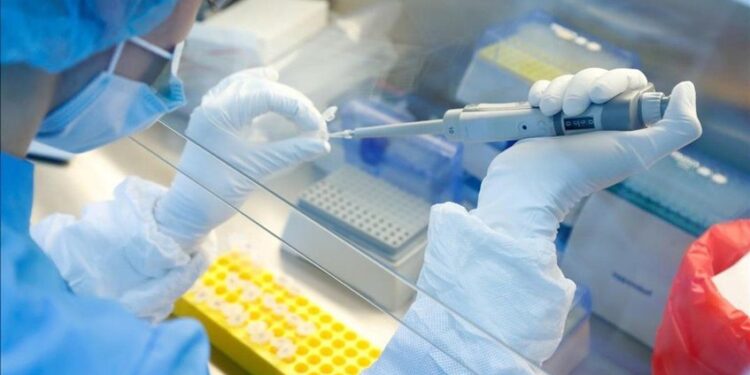 378b1344b7ea436a939bf5dac0b6cce7