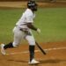 ¡Rugen en Casa! 9-6 de Leones para Tigres de Aragua 9 8202