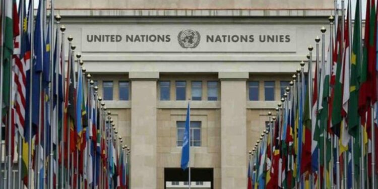 Venezuela presenta este martes su examen periódico universal de DDHH ante la ONU 1 9bd1b875e12846b8b75dc5e9c8c5f748