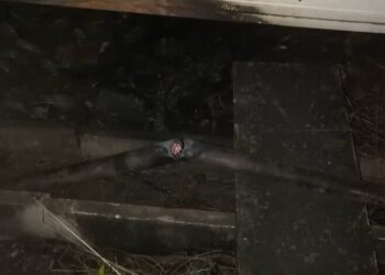 Trabajadores del metro de Caracas rechazan acciones vandalicas