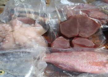 Proteína pesquera ocupa tercer lugar de opción de consumo del país