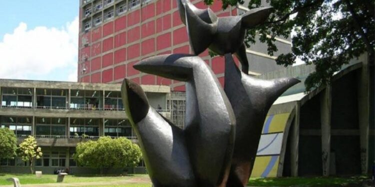 Carlos Meléndez: 6 de cada 10 estudiantes deben trabajar para poder subsistir 1 UCV rechazan