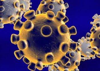 La OMS no recomienda cambiar la composición de las vacunas del COVID-19 3 coronavirus