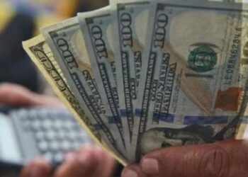 BCV también publicó el precio del euro