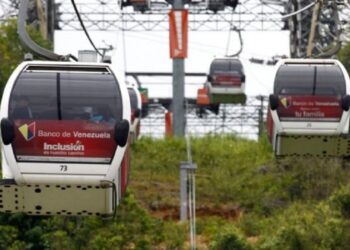 Cruz informó que se esta estudiando la posibilidad de las mascotas