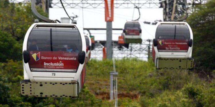Teleférico podría permitir acceso de mascotas 1 Cruz informó que se esta estudiando la posibilidad de las mascotas