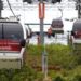 Teleférico podría permitir acceso de mascotas 11 Cruz informó que se esta estudiando la posibilidad de las mascotas