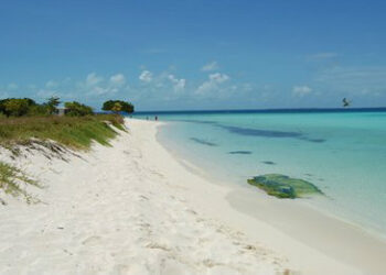 2a7118af33ff62bfbb10f41b66fadbd687e0af52