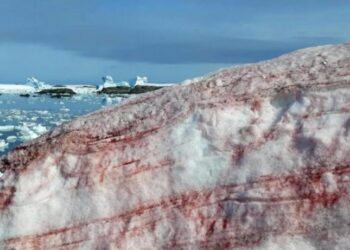 66MCCWLXVVBL5E62AGJK762EUE 696x461 1