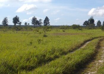 "Poner a producir miles de hectáreas"
