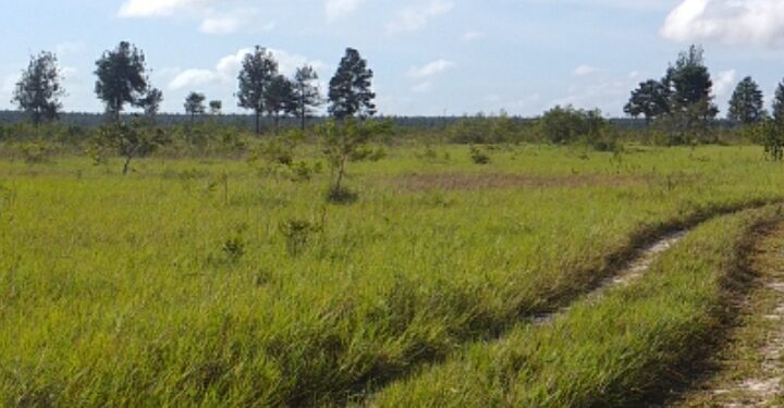 "Poner a producir miles de hectáreas"