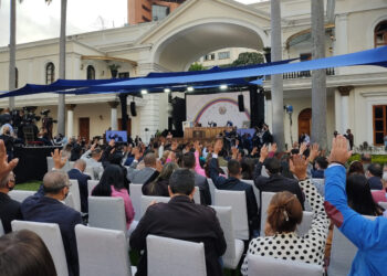 Asamblea Nacional investigará plan Puma de Argentina