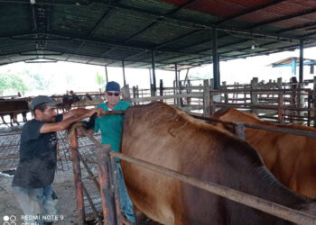 Promueven formación sobre inseminación artificial en bovinos