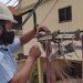 Cantv restableció servicio de Internet en Naguanagua y Valencia 10 FNGk XwX0AcQrsU
