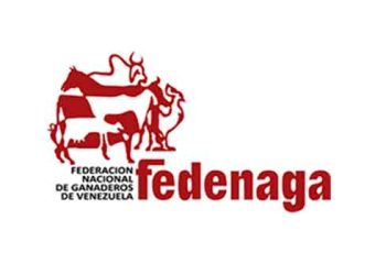 "Estas bandas rurales atentan contra el trabajo digno", dijo la empresa ganadera