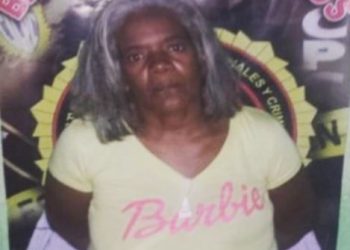 La empleada doméstica planificó el asesinato